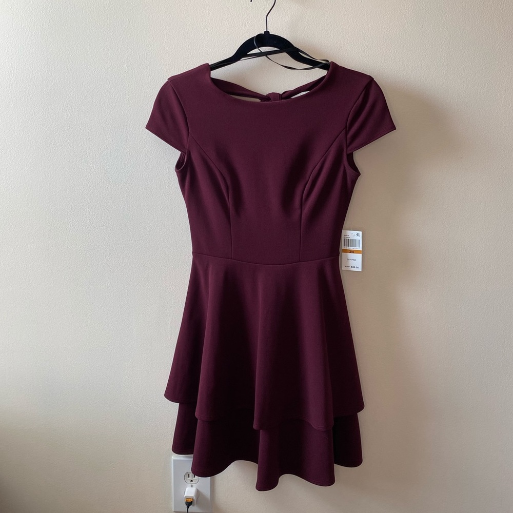 Garnet Skater Dress